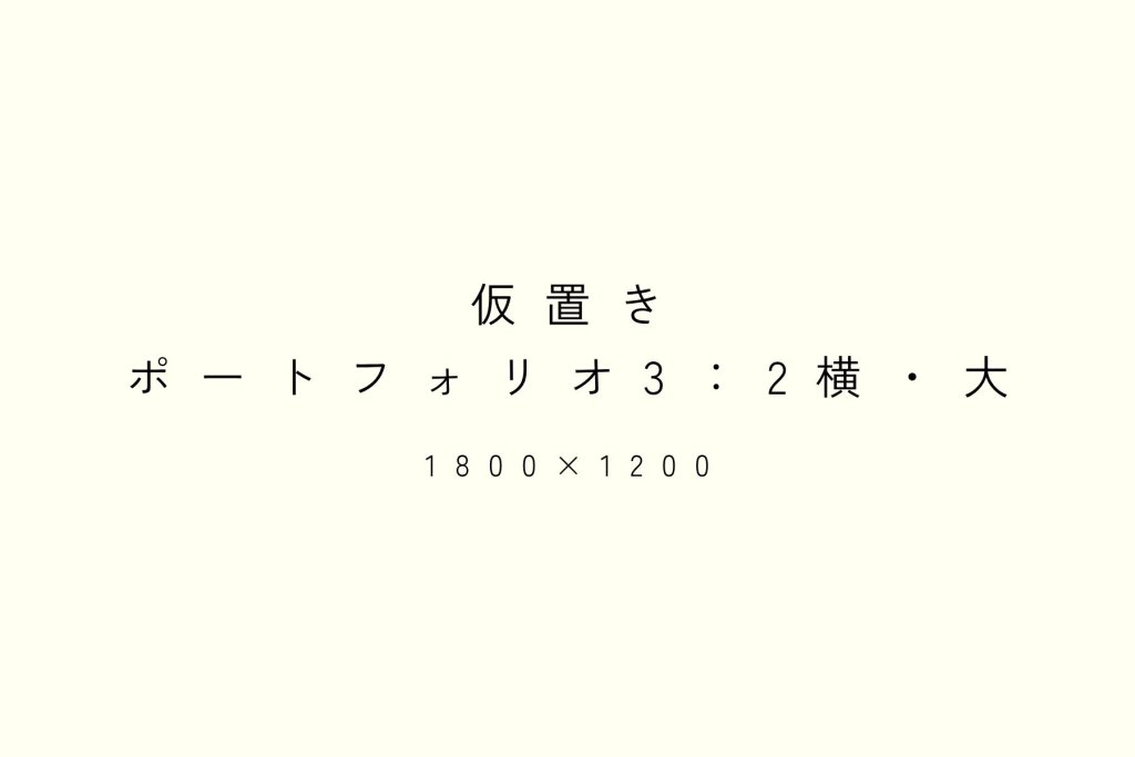 仮置きポートフォリオ横大