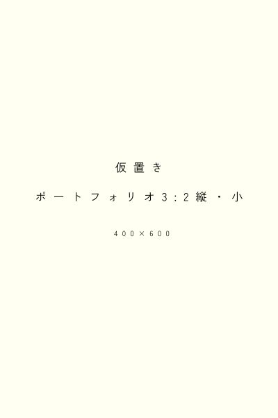 仮置きポートフォリオ縦小