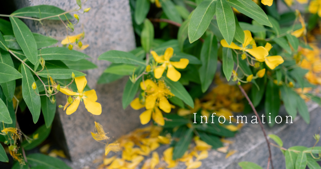 アイキャッチInformation