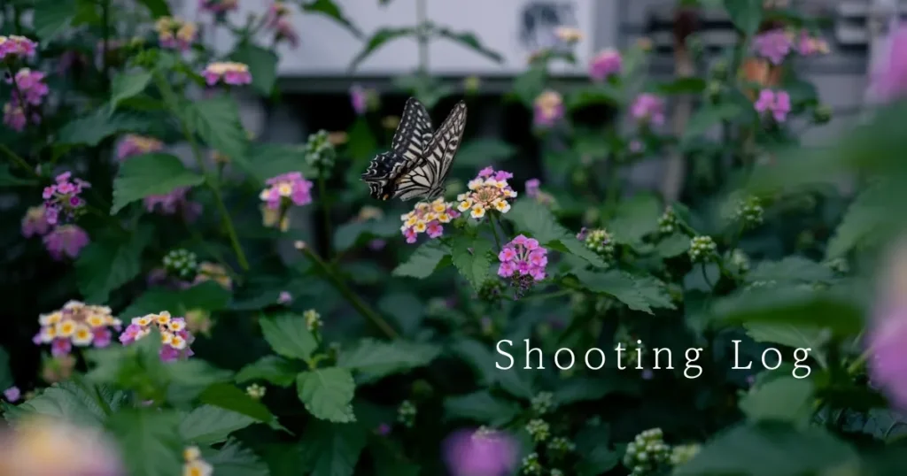 アイキャッチshootinglog